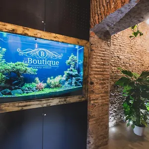 Casa de hóspedes Le Boutique Luxury Diffused In Historic Center 